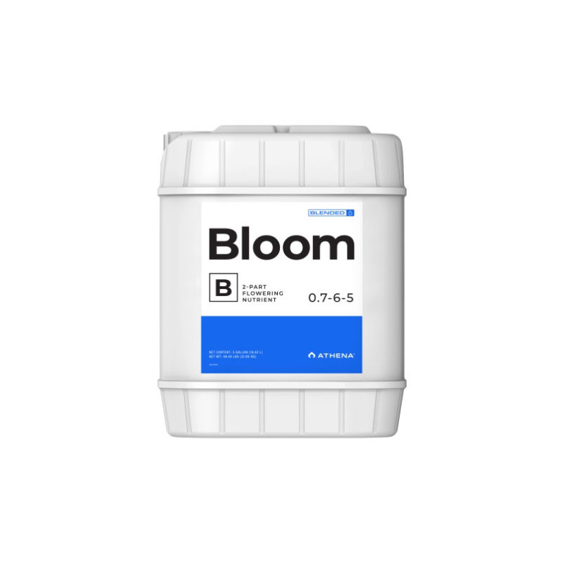 Bloom B Athena
