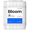 Bloom B Athena