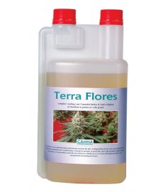 Terra Flores