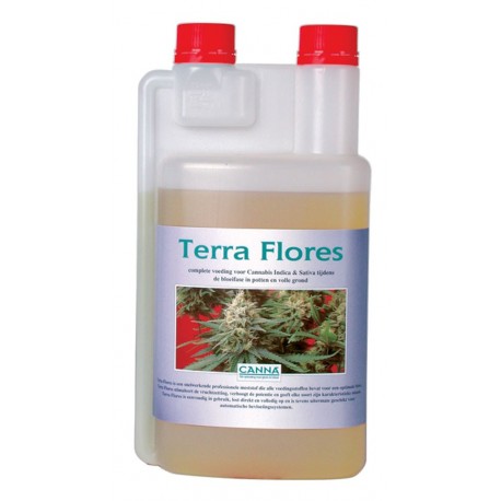 Terra Flores