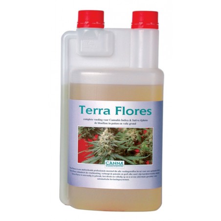 Canna - Terra Flores