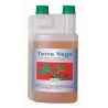 Canna - Terra Vega