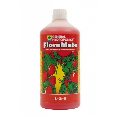 GHE - Flora Mato