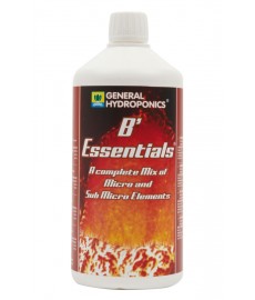 GHE - B' Essentials