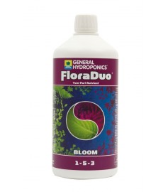 GHE - Floraduo Bloom