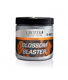 Grotek - Blossom Blaster